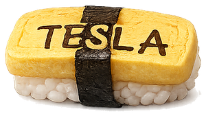 TSLA nigiri